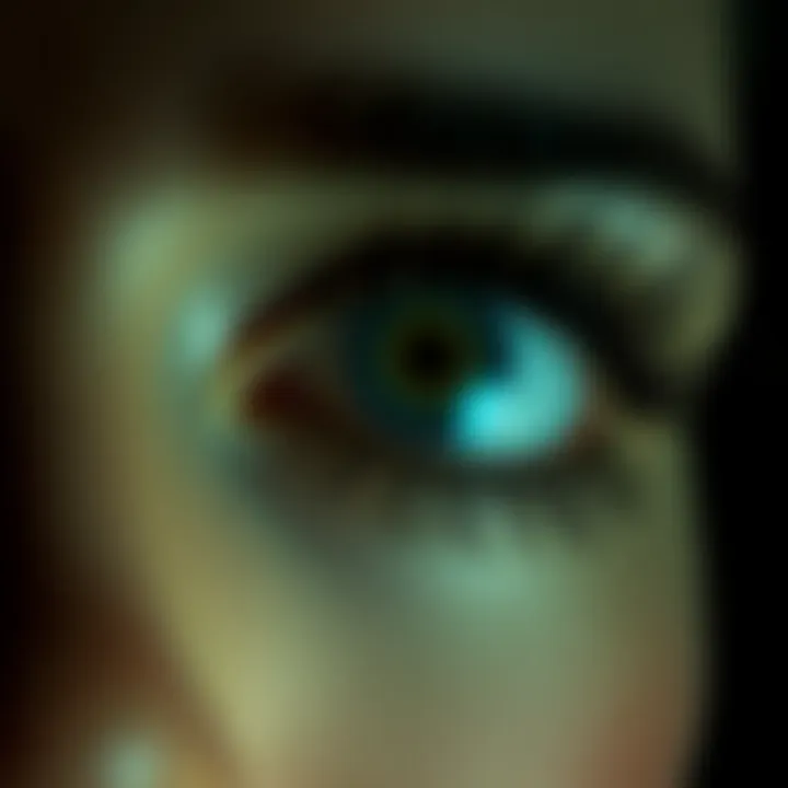 Magnificent A Comprehensive Exploration of Thin Magnetic Lashes Magnificent A Comprehensive Exploration of Thin Magnetic Lashes