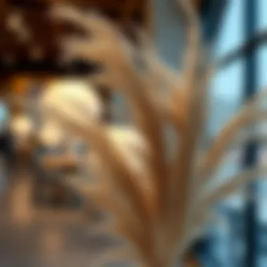 Magnificent Pampas Decorative: A Shift in Aesthetic Paradigms Magnificent Pampas Decorative: A Shift in Aesthetic Paradigms
