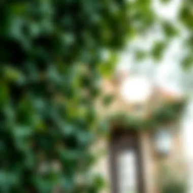 Magnificent The Aesthetic and Practical Elements of Artificial Hanging Ivy Magnificent The Aesthetic and Practical Elements of Artificial Hanging Ivy