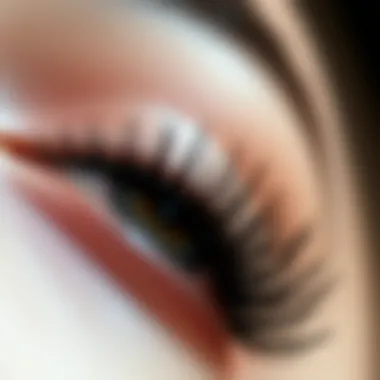 Magnificent The Intricacies of Short False Eyelashes