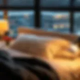 A Comprehensive Exploration of Fleece Pillow Shams Introduction