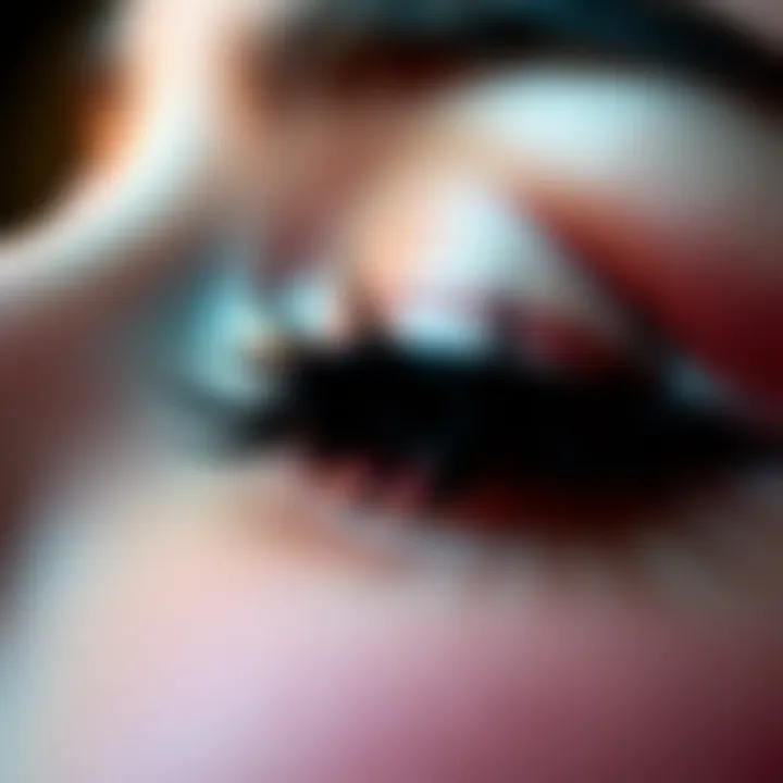 A Comprehensive Exploration of Thin Magnetic Lashes Introduction A Comprehensive Exploration of Thin Magnetic Lashes Introduction