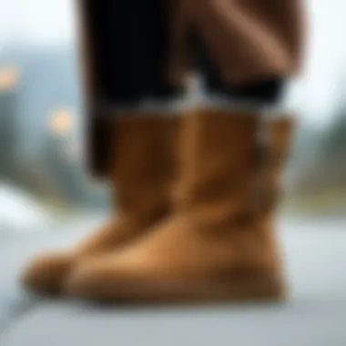 Notable A Comprehensive Exploration of UGG Cardigan Boots Notable A Comprehensive Exploration of UGG Cardigan Boots