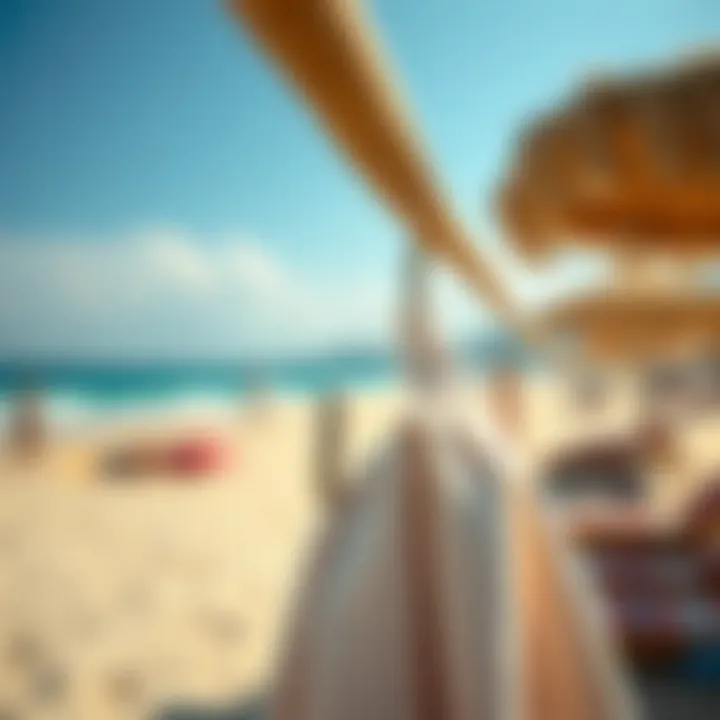 Beach hook in action at a sunny beach