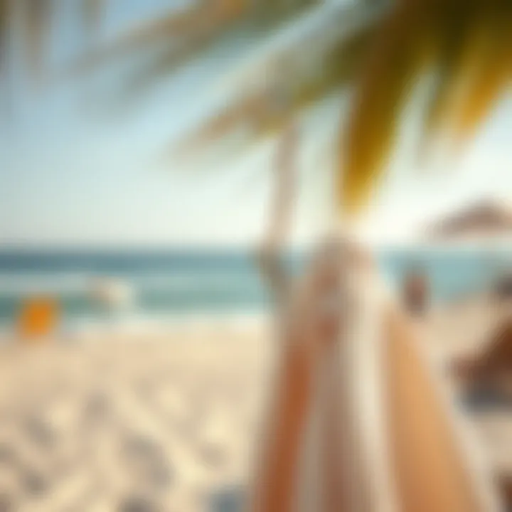 Care and maintenance tips for beach hooks