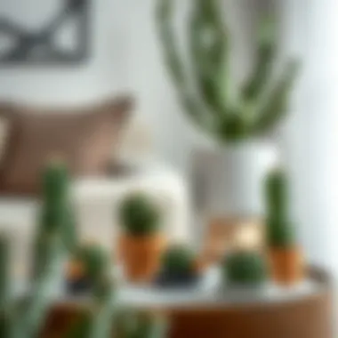 Cactus Ring Holders in Contemporary Decor Aesthetic arrangement of cactus ring holders in a decor setting