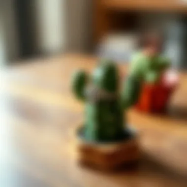 Personalization Options for Cactus Ring Holders Personalized cactus ring holder with unique designs