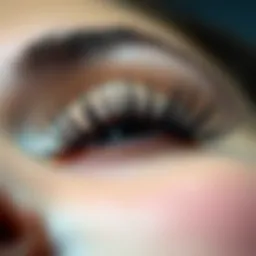 Comprehensive Insights into Reusable Mink Lashes Introduction