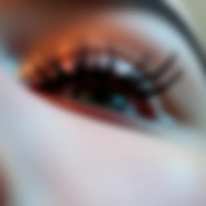 Notable Comprehensive Insights into Reusable Mink Lashes