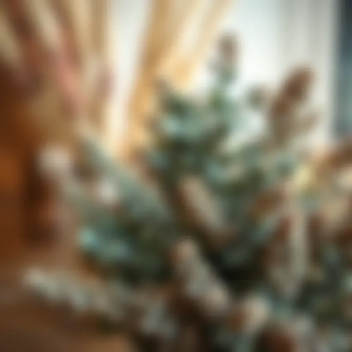 Aesthetic display of dried eucalyptus in a decorative arrangement