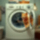 Effective Strategies for Removing Pet Hair from Washing Machines Introduction