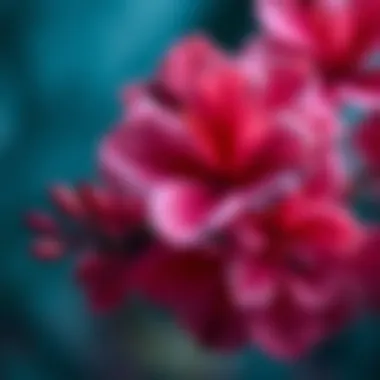 Exploration of Faux Hawaiian Flowers in Fashion and Design Summary Exploration of Faux Hawaiian Flowers in Fashion and Design Summary