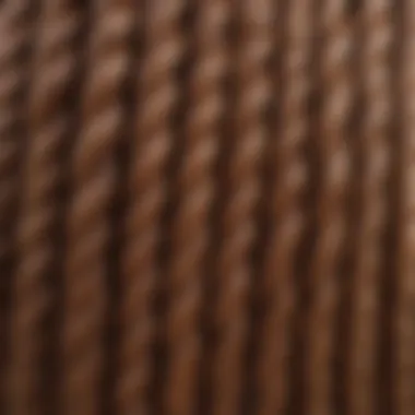 Close-up of the quality texture of a box braid wig