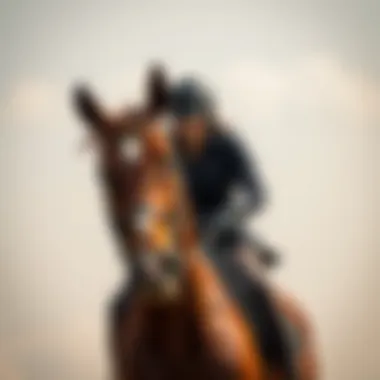 Rider in Action A rider in action, demonstrating the synergy between functionality and style.