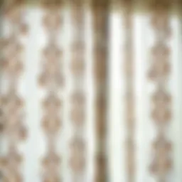 Elegant embroidered sheer curtain showcasing intricate patterns
