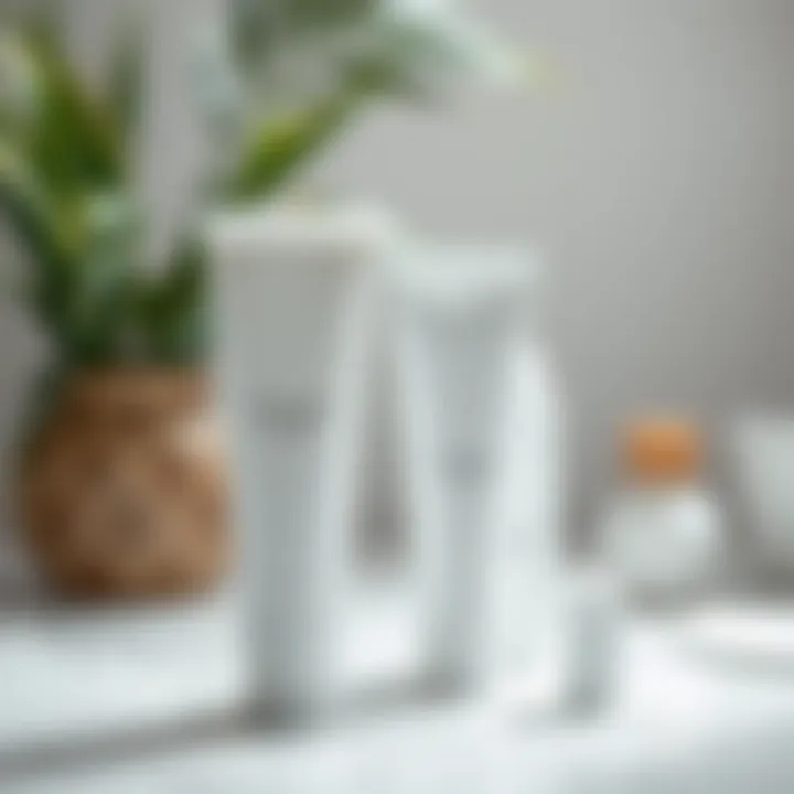 Eco-friendly alternatives for packaging in the beauty industry