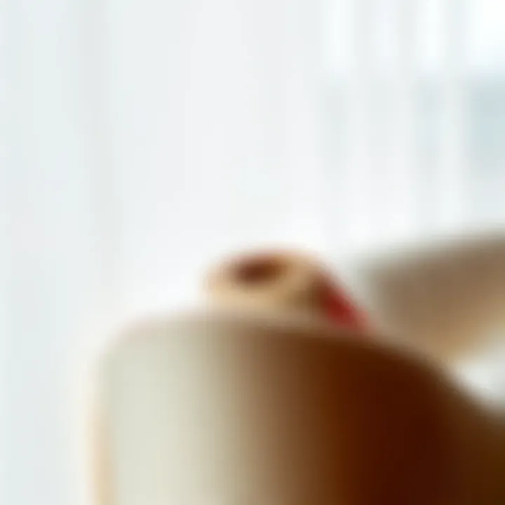 Materials of Light Filtering Window Panels Close-up of various materials used in light filtering window panels with grommets.