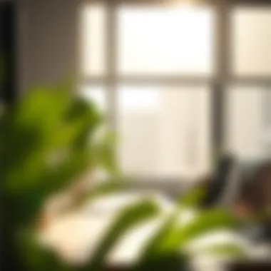 Sunlight Control in Office Setting Demonstration of sunlight control using light filtering window panels in an office setting.