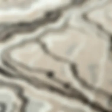 Close-up of intricate marble design on an area rug