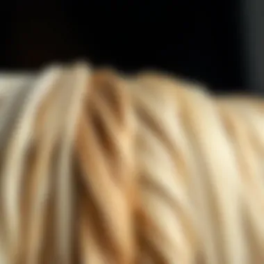 Close-up of different types of hair extensions in pearl blonde