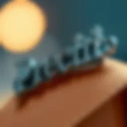 A close-up of a personalized name barrette with intricate design