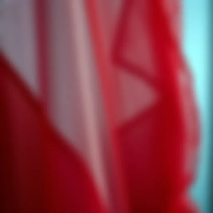 Intricate Fabric Detailing of the See-Through Dress Close-up of the fabric texture of a red see-through dress