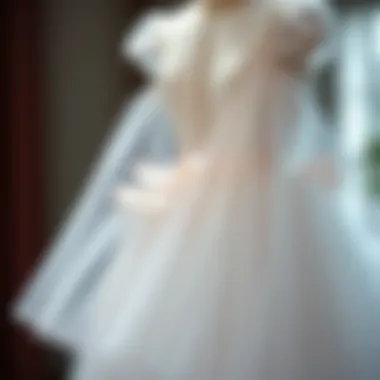 Tulle Dress Construction Layers An illustration highlighting the construction and layers of a tulle dress