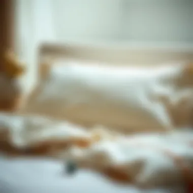 Notable Exploring the Canvas Pillowcase: A Comprehensive Guide Notable Exploring the Canvas Pillowcase: A Comprehensive Guide