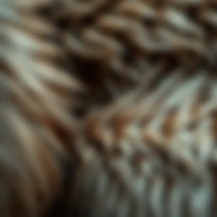 A close-up view of fur textures highlighting their quality and artistry.