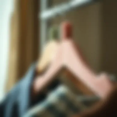 Eco-friendly velvet hanger clips displayed with sustainable materials