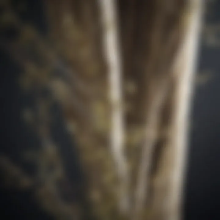 Close-up of textured willow branches used for curtains