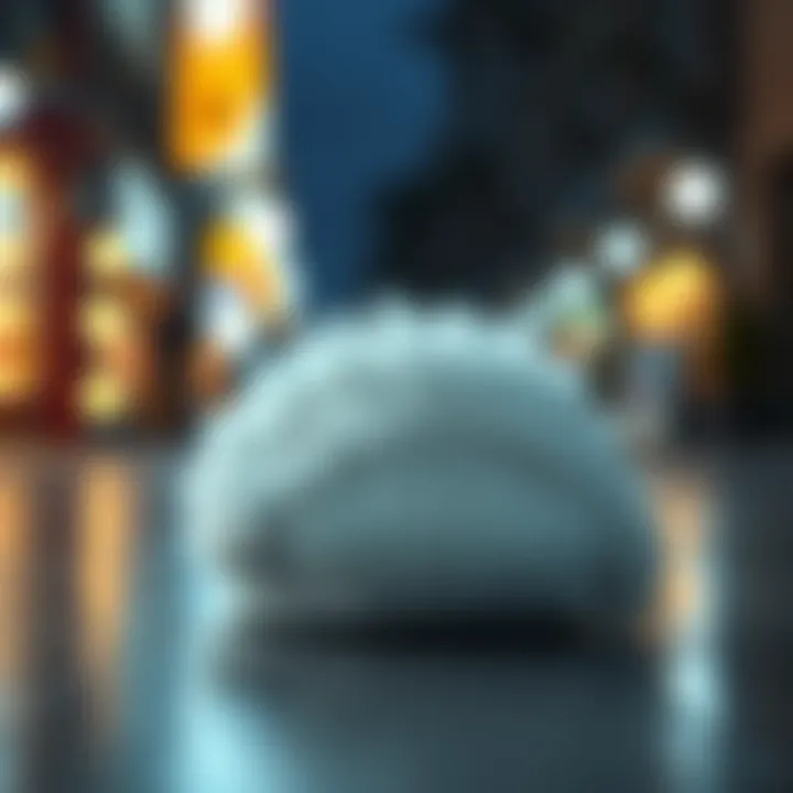Fluffy Slides for Women: A Comprehensive Analysis Introduction