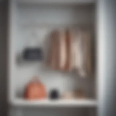 Chic Wardrobe with Handbag Hangers Elegant handbag hangers displayed in a chic wardrobe setting