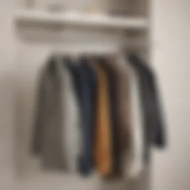Efficient Wardrobe Organization with Handbag Hangers Organized wardrobe featuring handbag hangers for efficient storage