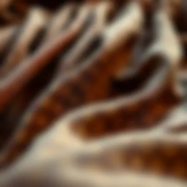 Close-up of fabric textures and patterns in long overall dresses