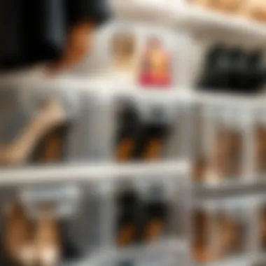 Organized shoe closet with transparent boxes