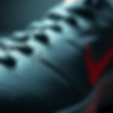 Close-up of the Nike Pegasus Shield materials highlighting durability