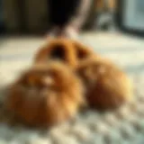 Luxurious raccoon slippers displayed elegantly