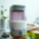 Eco-friendly refillable laundry detergent dispenser