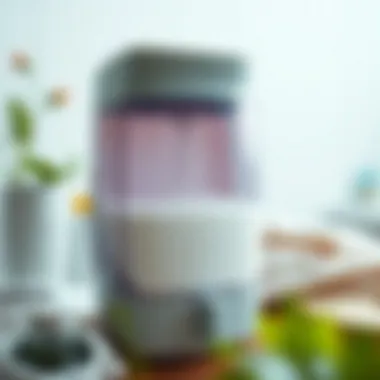 Eco-friendly refillable laundry detergent dispenser