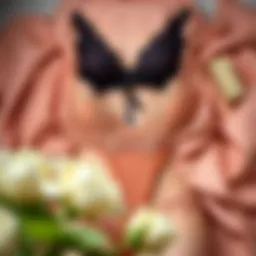 Elegant lace lingerie displayed on a soft velvet background