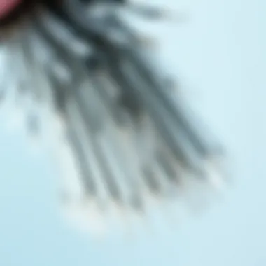 Soft Texture and Quality of Bristles Close-up of bristles showcasing soft texture and quality