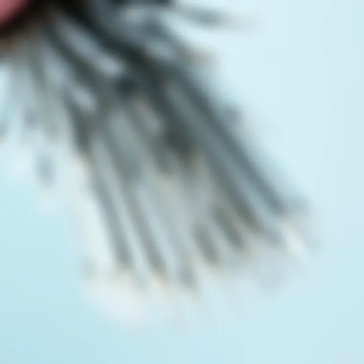 Soft Texture and Quality of Bristles Close-up of bristles showcasing soft texture and quality