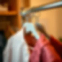 A close-up view of an innovative stackable hanger showcasing its sleek design.