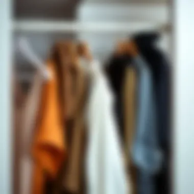 Stylish Wardrobe Arrangement with Stackable Hangers A stylish wardrobe arrangement displaying various clothing types on stackable hangers.