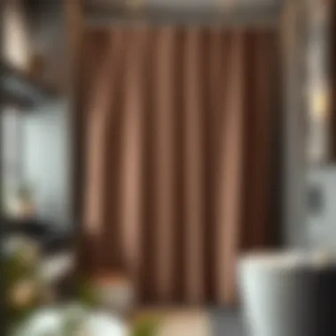 Modern Elegance: Teal and Brown Shower Curtain Elegant teal and brown shower curtain in a modern bathroom setting