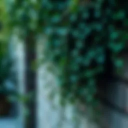 The Aesthetic and Practical Elements of Artificial Hanging Ivy Introduction