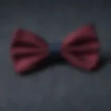 Elegant burgundy bow tie on a textured fabric background