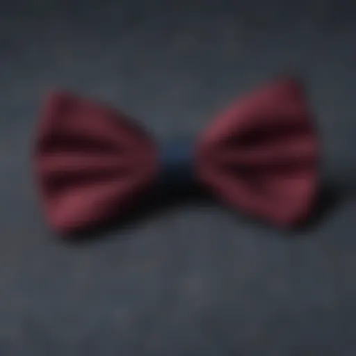 Elegant burgundy bow tie on a textured fabric background