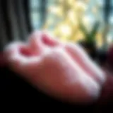 The Allure of Sexy Slippers: A Comprehensive Exploration Introduction
